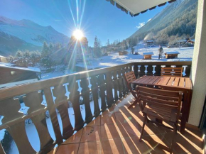 Cosy apartment Ski in out and Mt blanc view